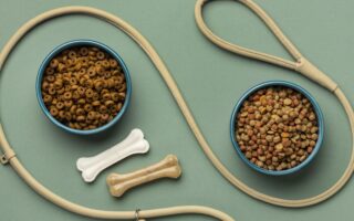 karma sucha, karma mokra, dla szczeniaka