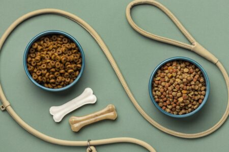 karma sucha, karma mokra, dla szczeniaka